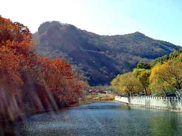 新澳天天开奖资料大全旅游团，帕萨特1.8t油耗